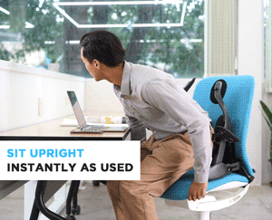 Enyware The Posture Seat: Turn an ordinary chair into a healthy chair. –  Astride Bionix